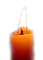 candela candela