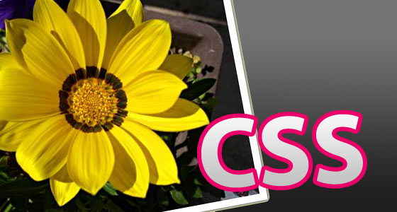 Come creare una cornice ad una foto con i CSS
