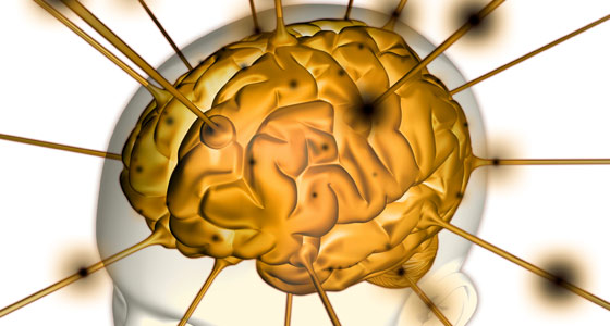 Psicologia dell’apprendimento online