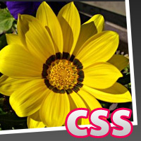 Come creare una cornice ad una foto con i CSS