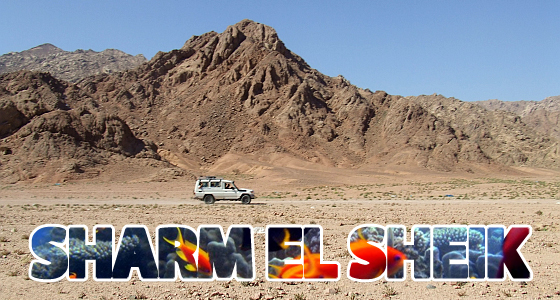 Sharm el Sheik – Vacanza – The day after